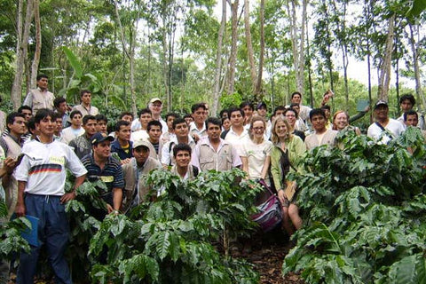 coop coffee group picture