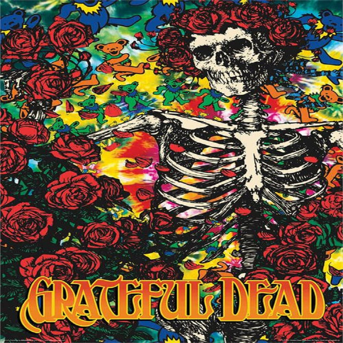 Grateful Dead Skeleton and Roses Poster – Sunshine Daydream