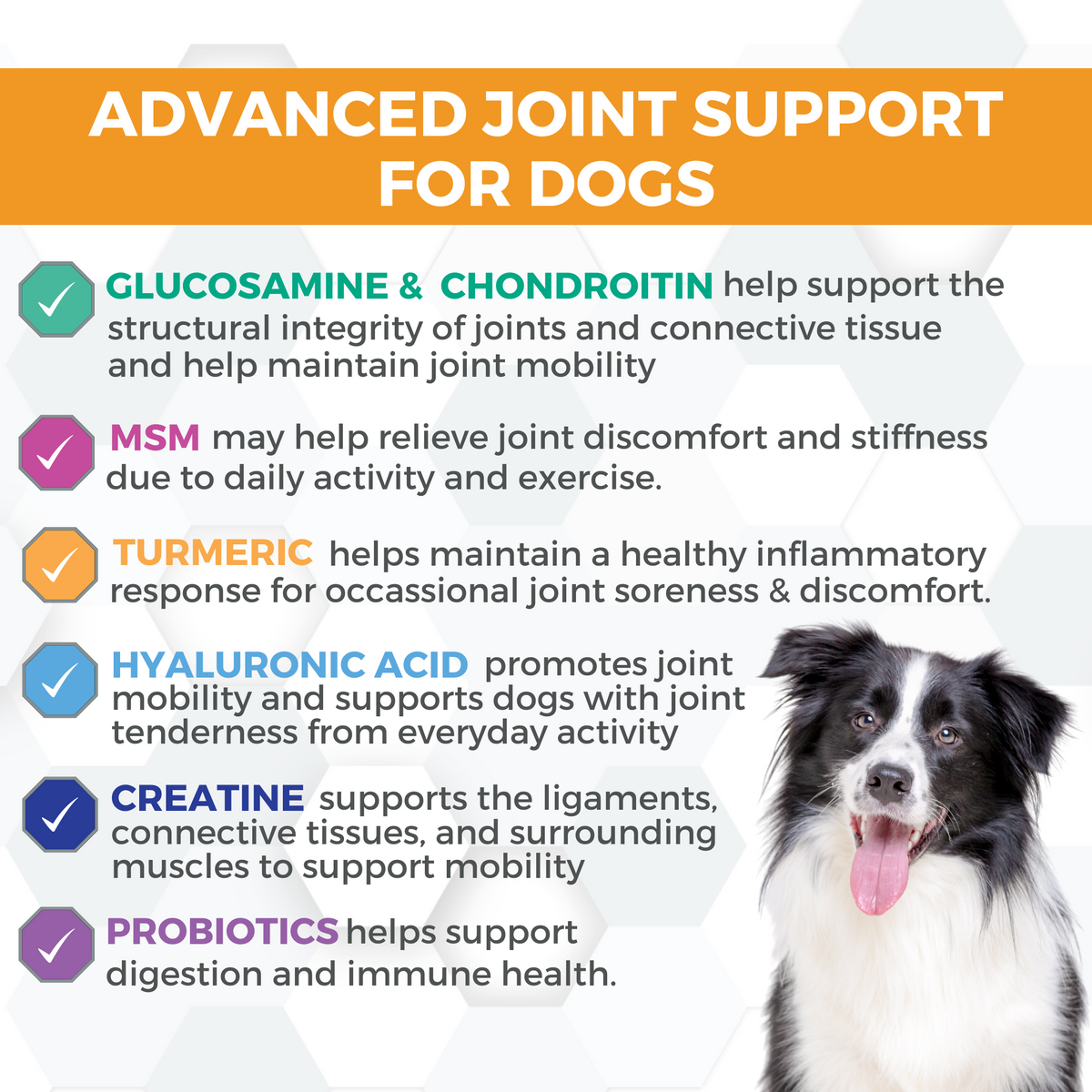 Progility Hip & Joint Soft Chew Supplements For Dogs |Advanced Support for Healthy Joints & Mobility