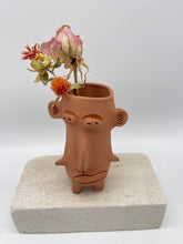 Load image into Gallery viewer, Terracota face planter - Alpiste
