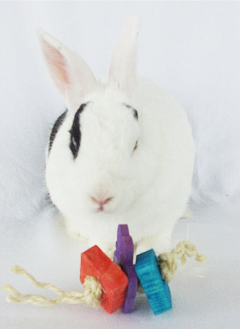 timali pet rabbit toys