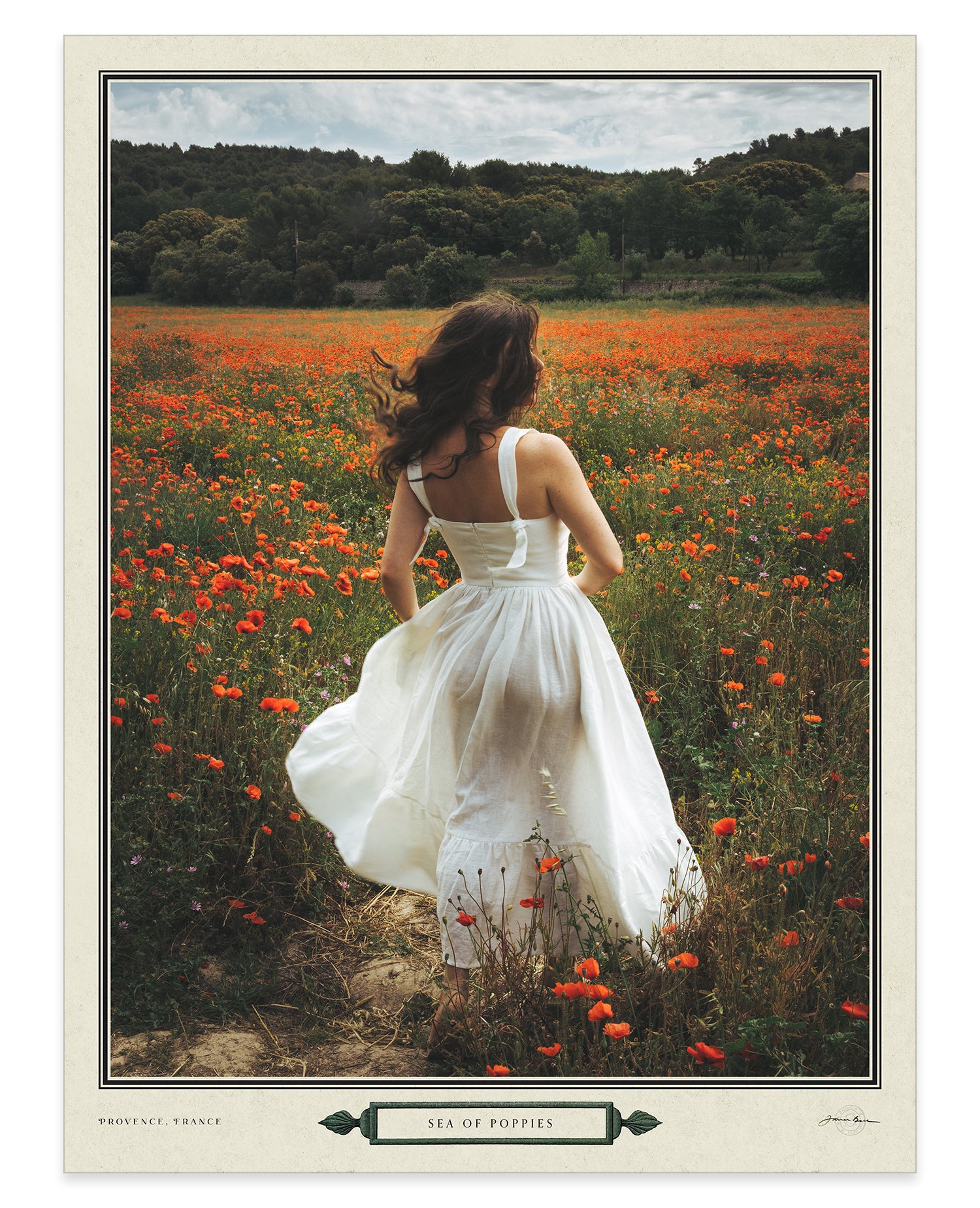 sea of poppies