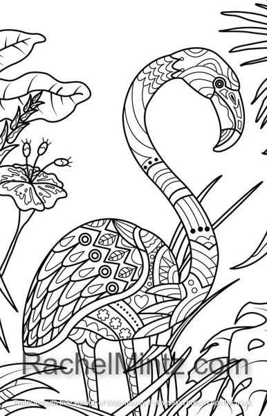 Download Animalovely - Anti Stress Zen Relaxation, PDF Coloring Book - Rachel Mintz Coloring Books