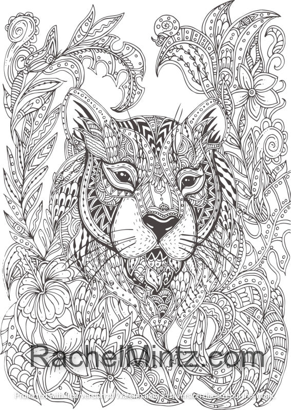 Animals Nirvana - Color Relaxing & Very Detailed Patterns of Wild Anim