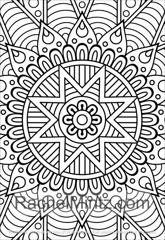 Large Print Mandala - Coloring (PDF Book)