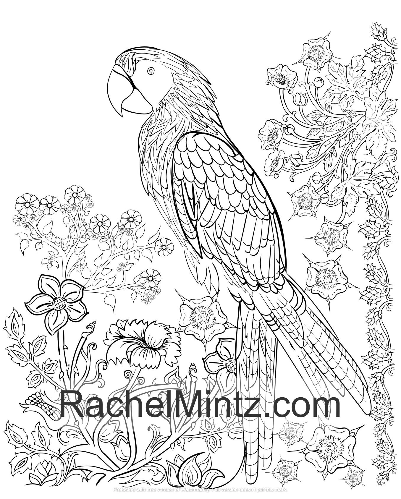 coloring pages of tropical bird