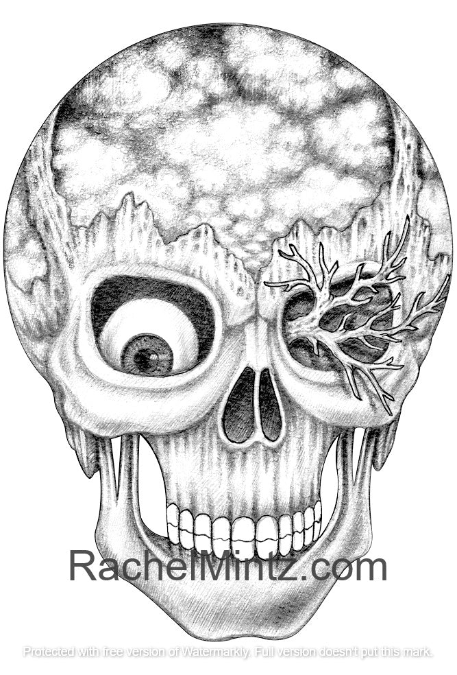Download Demonic Skulls - Horror Grunge Skulls - PDF Grayscale Coloring Book - Rachel Mintz Coloring Books