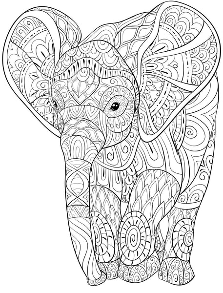 Elephants, PDF Coloring Book - The Largest African Animals in Relaxing ...