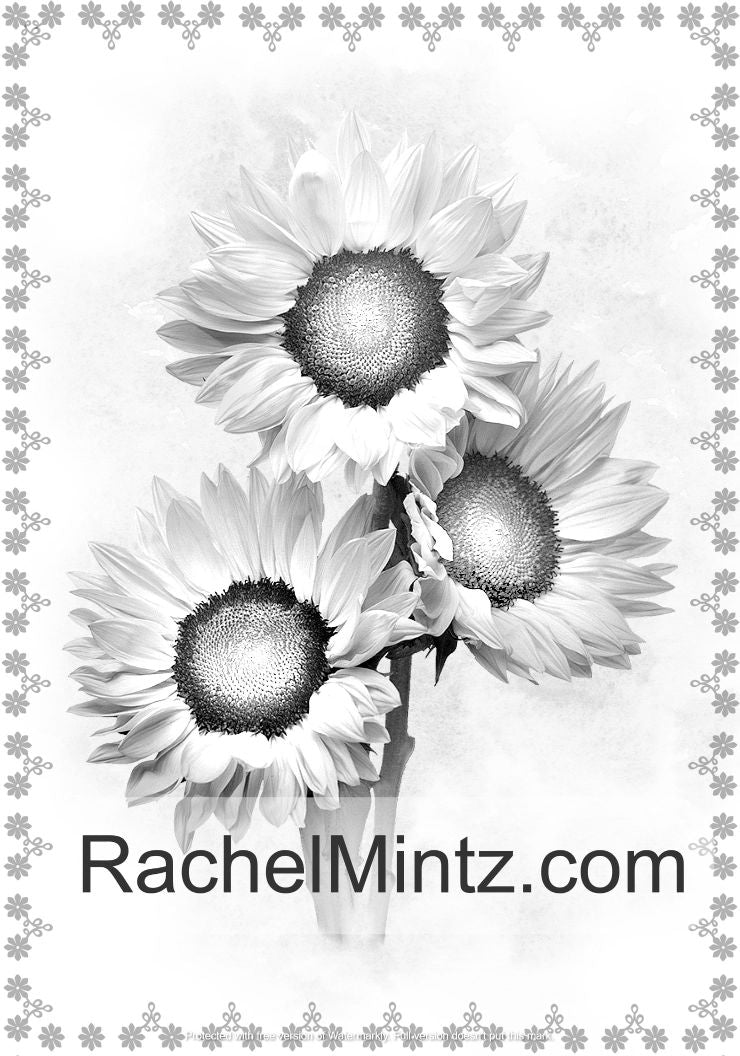 Flowers - Vintage Grayscale Art With 33 Floral Designs and Garden Flow