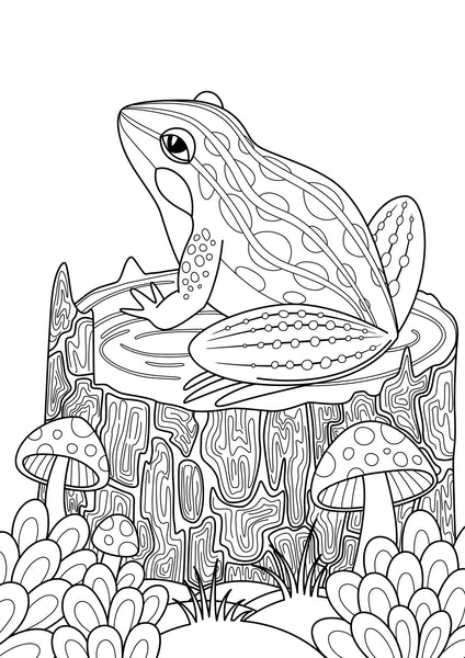 Frog And Toad Coloring Page Printable