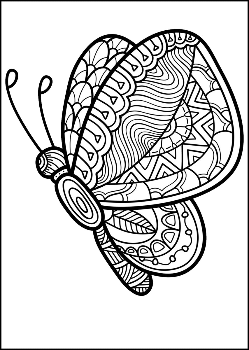 Download Large Print Butterflies - Beautiful Clear Bold Butterfly Lines and Pat - Rachel Mintz Coloring Books