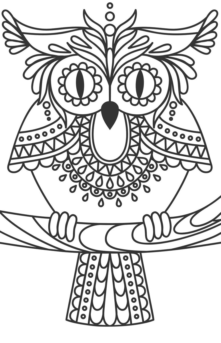 Download Large Print OWLS PDF Coloring Book For Beginners, Seniors ...