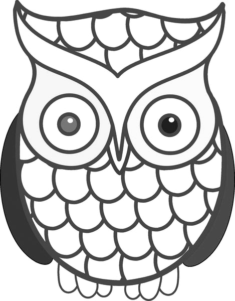 Download Large Print OWLS PDF Coloring Book For Beginners, Seniors or Visually - Rachel Mintz Coloring Books