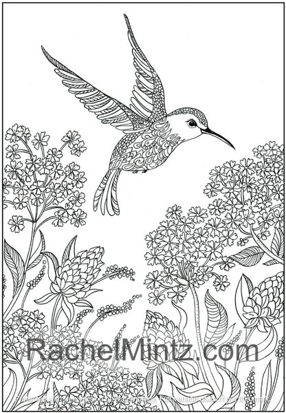 Download Melodies - Garden & Forest Birds PDF Coloring Book For ...