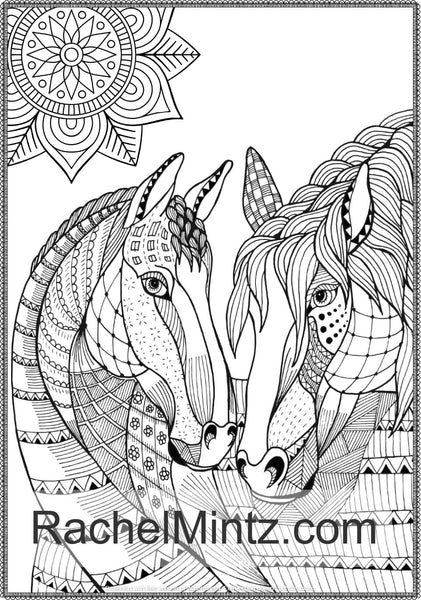 Download Noble Horses Beautiful Detailed Sketches Of Horses Horse Manes In D Rachel Mintz Coloring Books