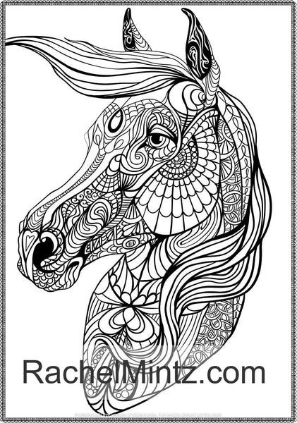 Download Noble Horses Beautiful Detailed Sketches Of Horses Horse Manes In D Rachel Mintz Coloring Books