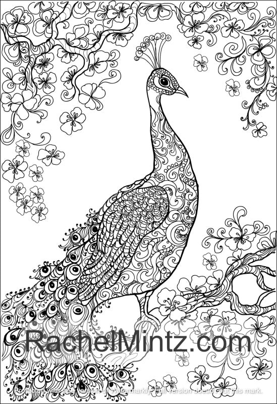 Peacocks - Brilliant Birds Peacock&#039;s Train Feathers Coloring (PDF Book