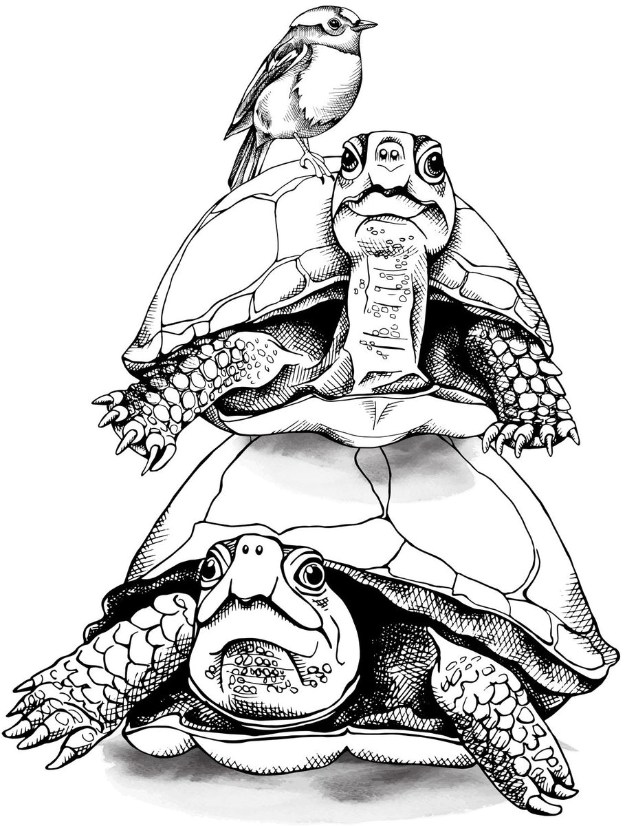 Download Turtles - Relaxing Coloring (PDF Book) With Tortoises and Sea Turtles - Rachel Mintz Coloring Books