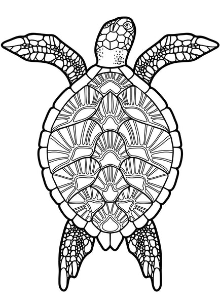 Turtles - Relaxing Coloring (PDF Book) With Tortoises and Sea Turtles ...