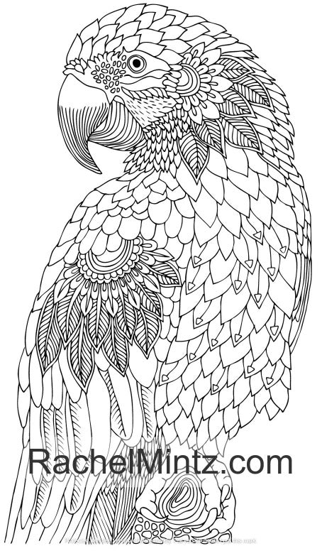 Wildlife Mandala - 30 Decorative Animals Patterns For Adults - Printab
