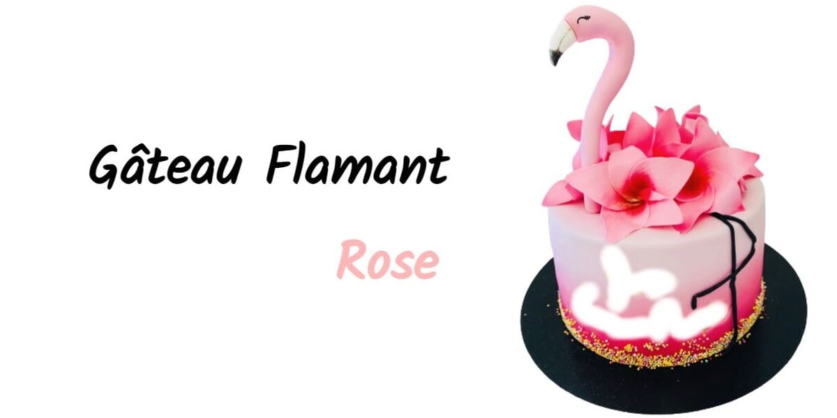 Comment Faire Un Gateau Flamant Rose