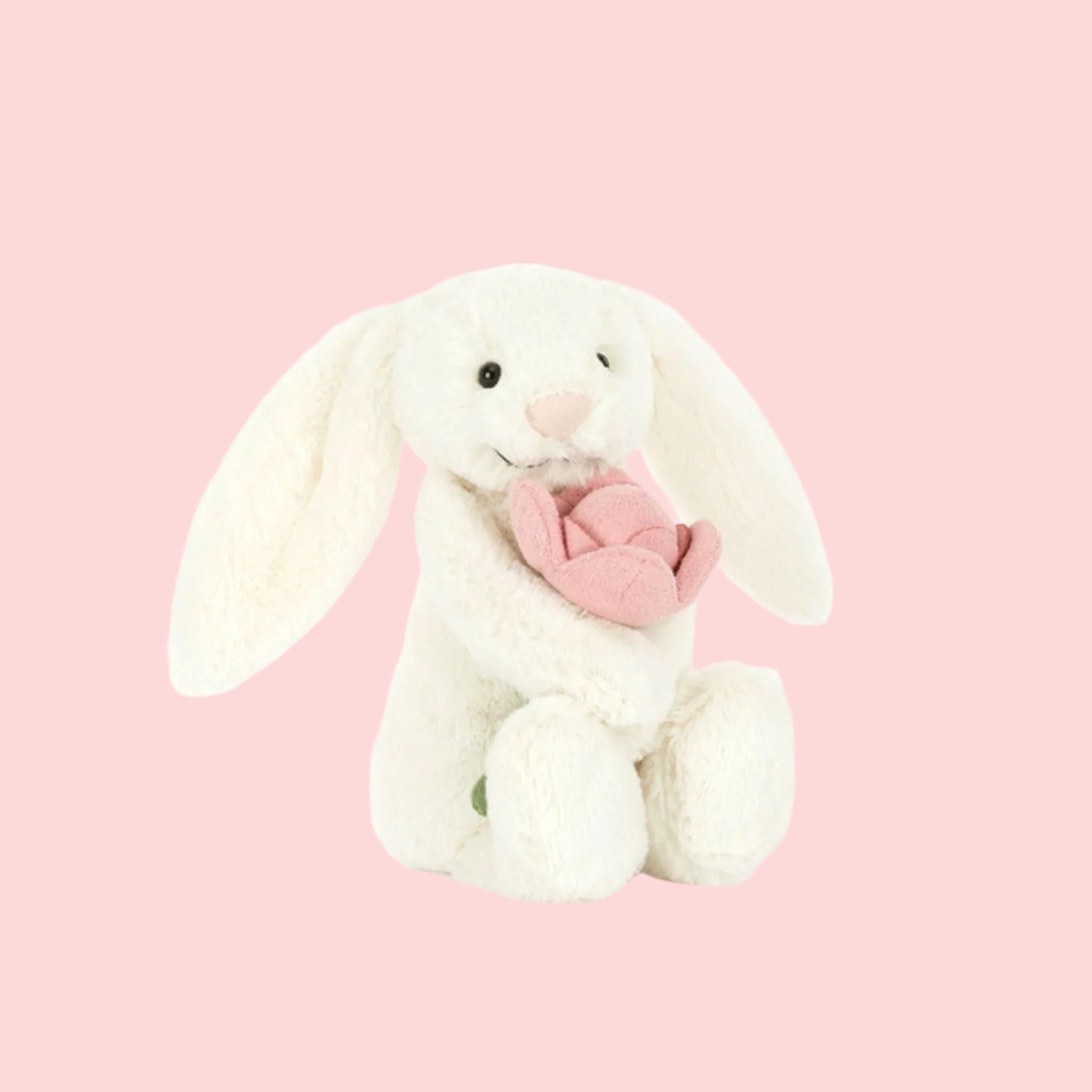 Bashful Bunny Peony