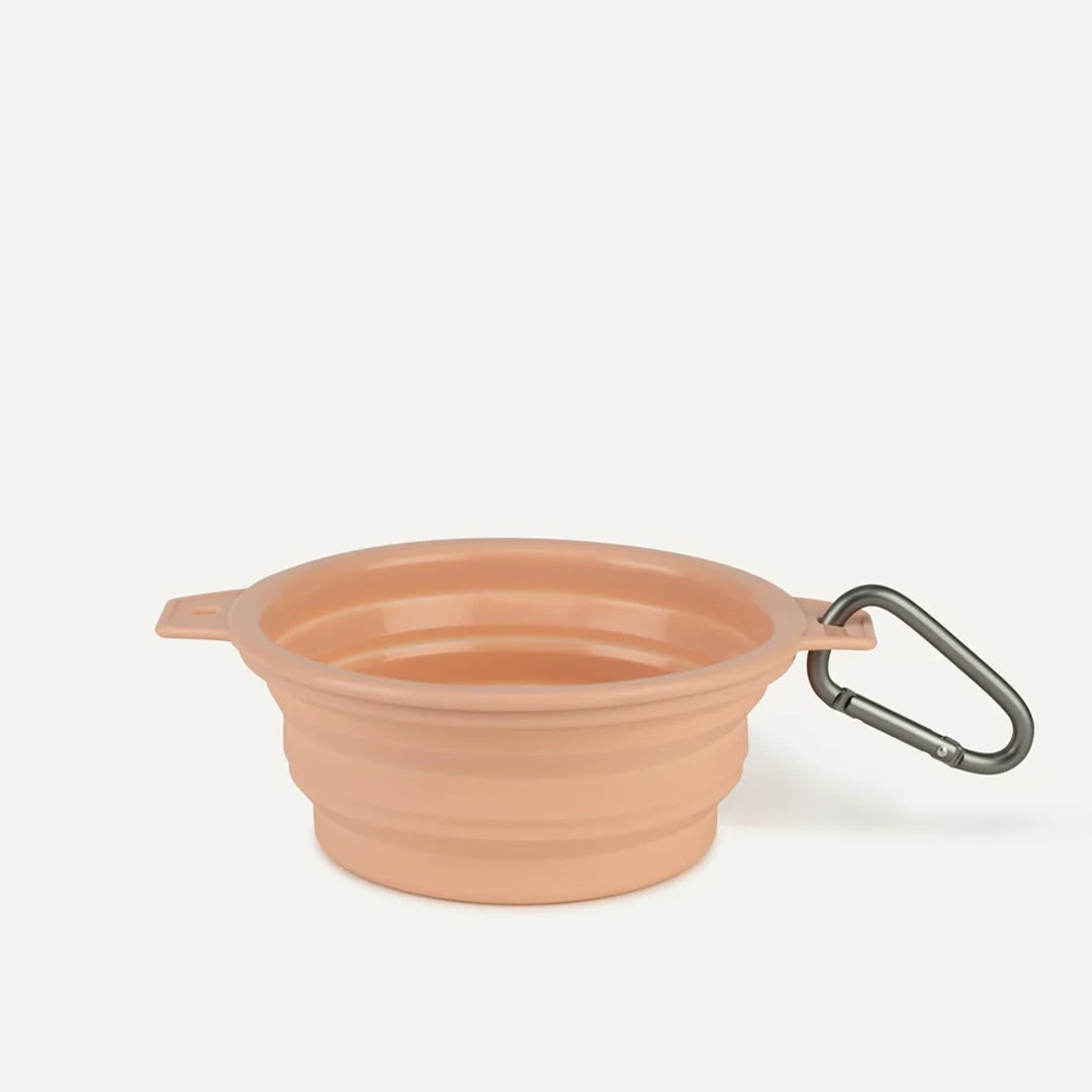 https://cdn.shopify.com/s/files/1/0350/5665/products/mb-rubber-travel-bowl-peach-1_web.webp?v=1671572534&width=1080