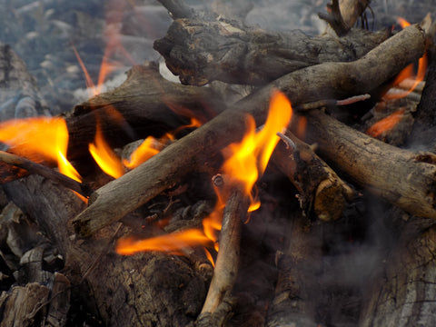 Survival - Fire Burning - Wilderness Survival Systems: Picture 