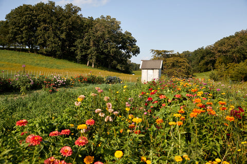 organic farm