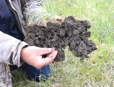 Regenerative Agriculture Soil