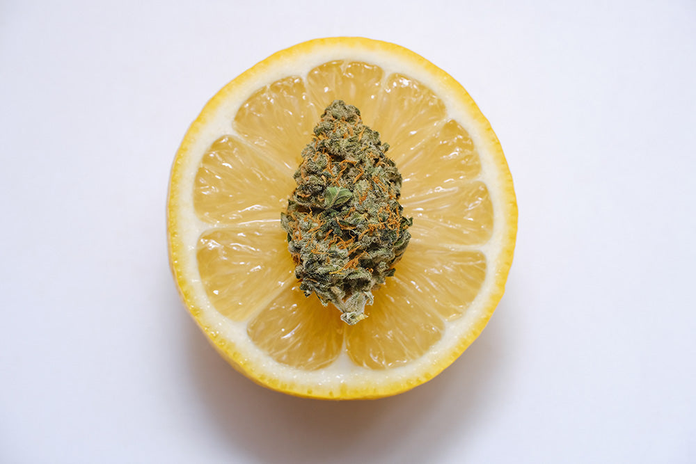 lemon terpene