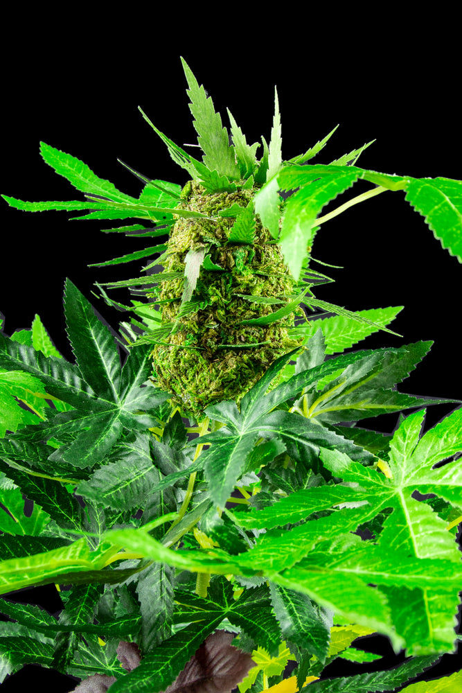 TenWaterloo 人工大麻植物 鉢植え植物 高さ36インチ 偽マリファナ ...