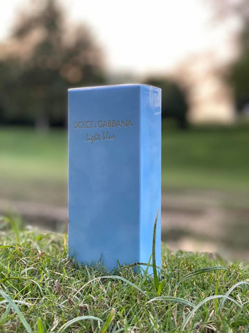 Dolce Gabanna Light Blue 