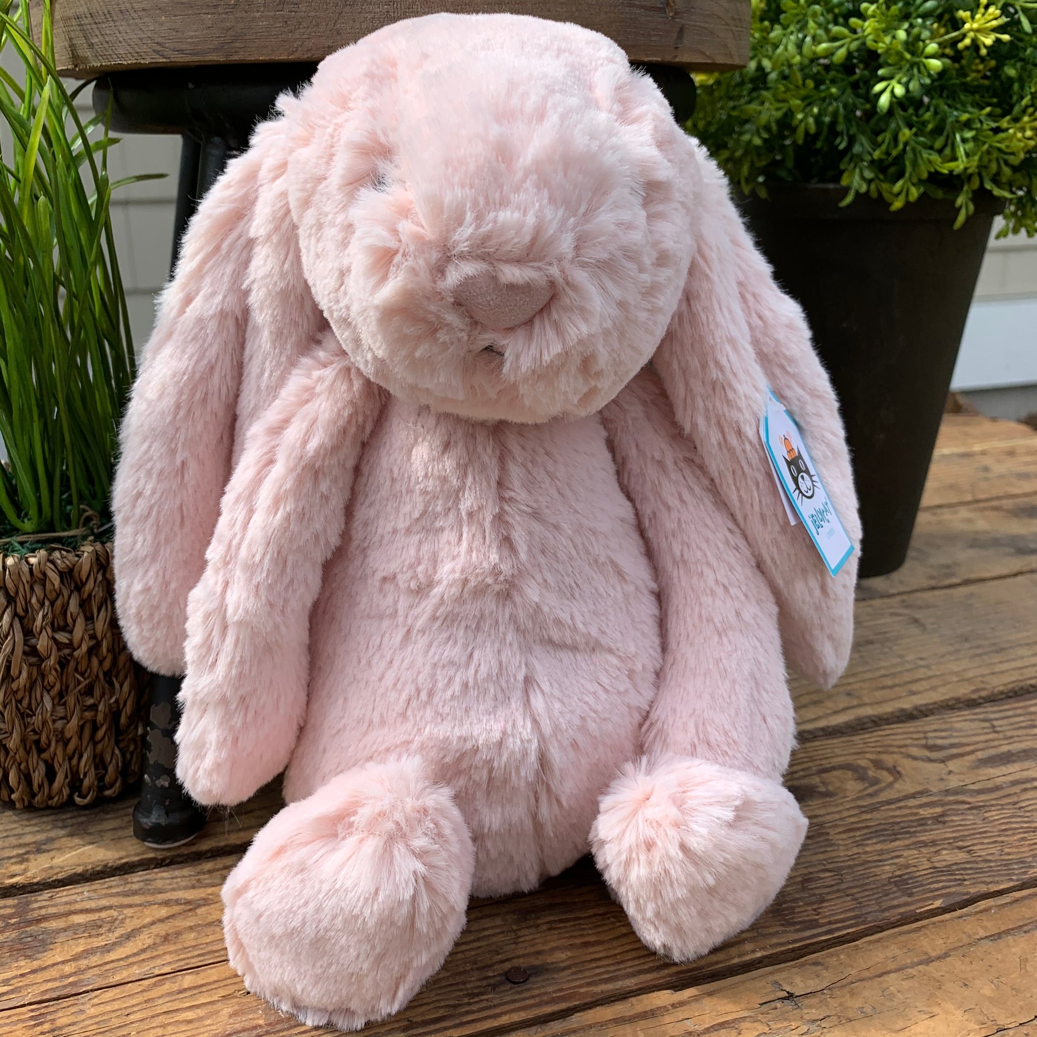 jellycat bashful blush bunny