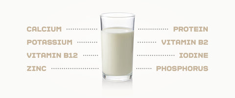Tips: Skincare Benefits of Milk 