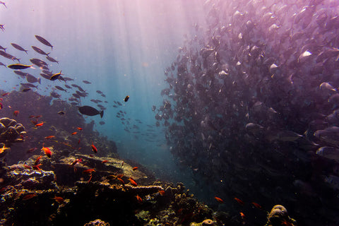 Illustrazione dell’inquinamento da plastica negli oceani: un invito all’azione.