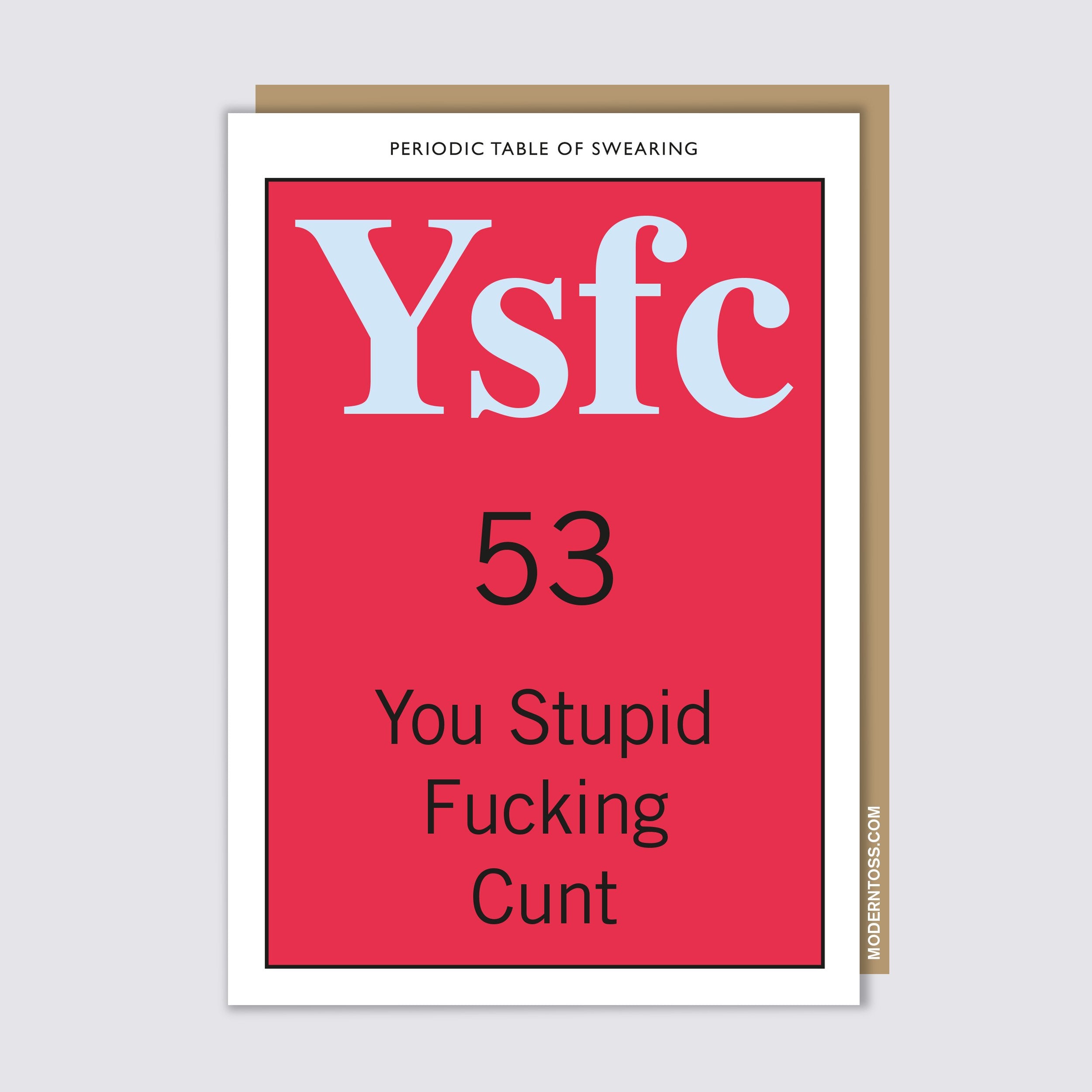 You Stupid Fucking Cunt Card Modern Toss 