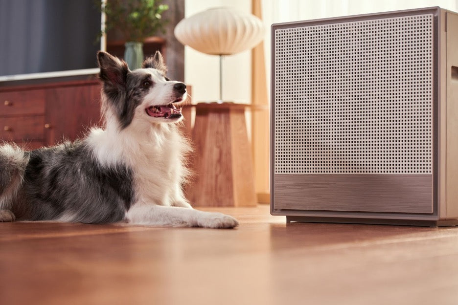 A dog sitting near an air purifier for pets.