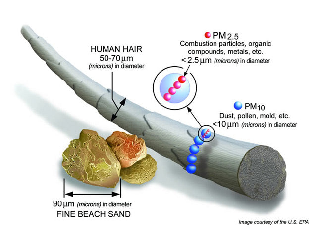 particulate_matter_INSET