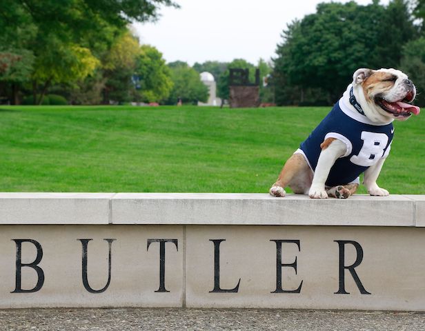 Buter University