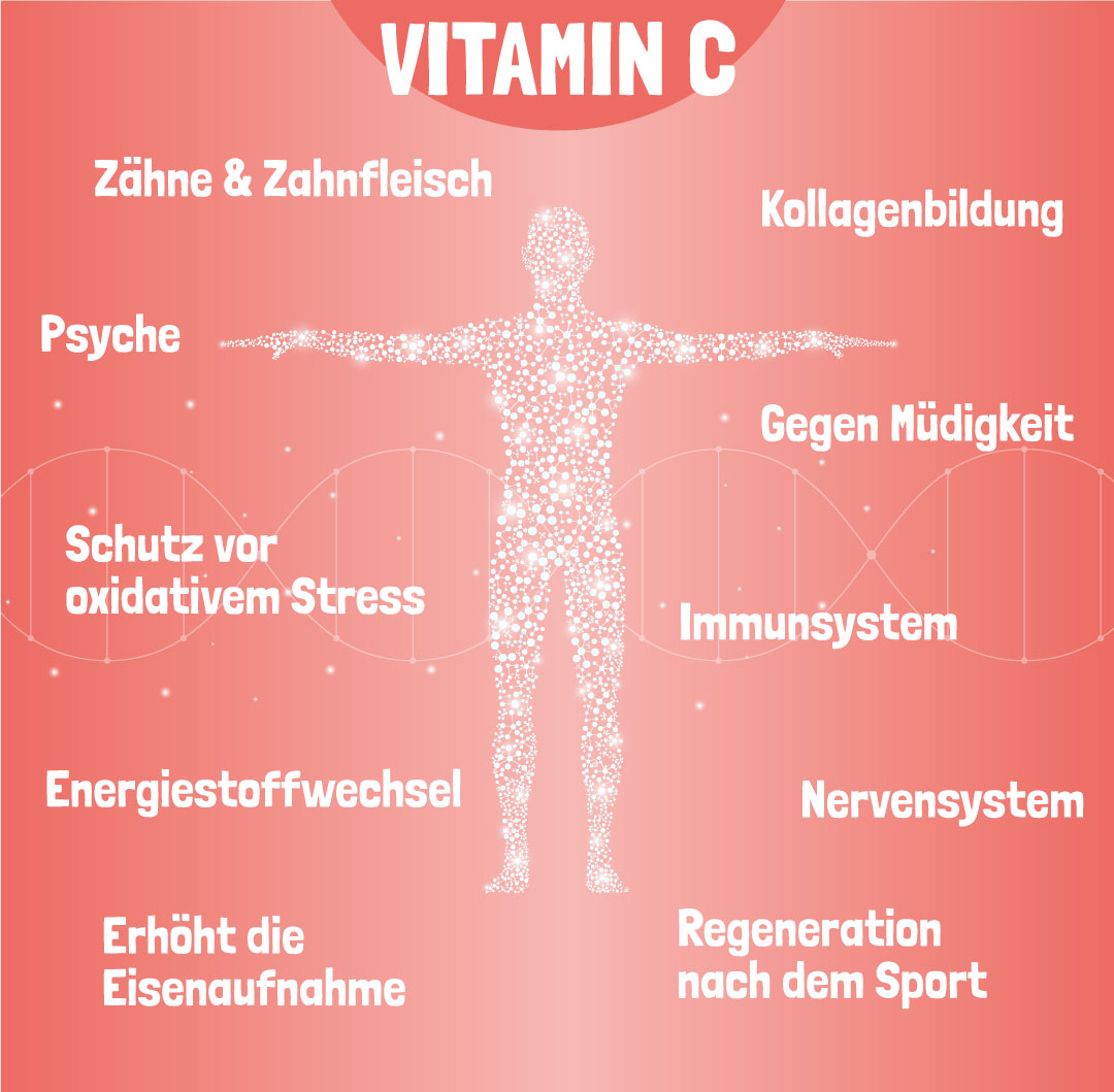 Vitamin C Wirkung