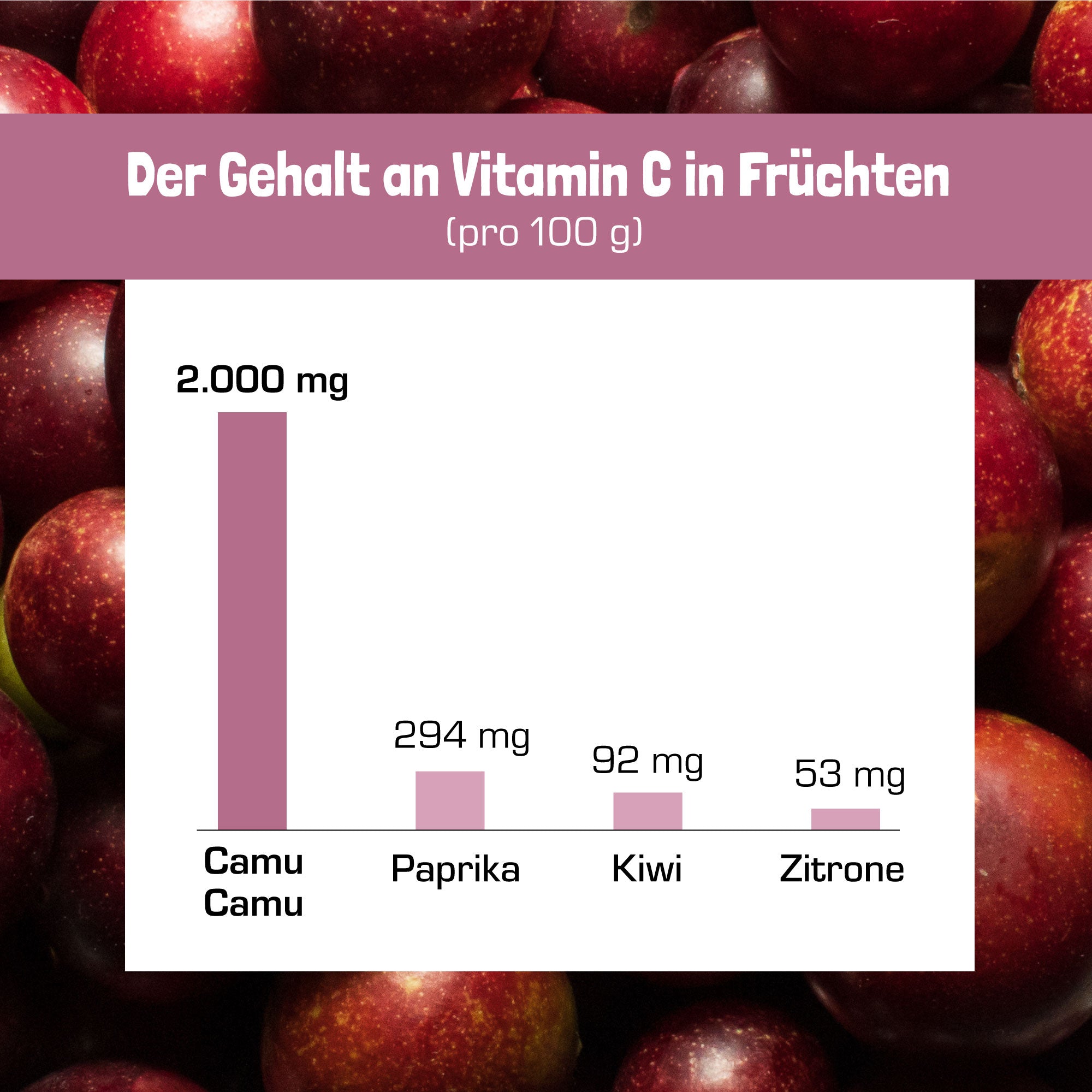 vitamin-c-gehalt-früchte_camu-camu2.jpg__PID:2c9f1ca2-bc14-4c78-9331-172a3ca9d66f