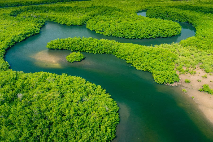 Amazonas Fluss