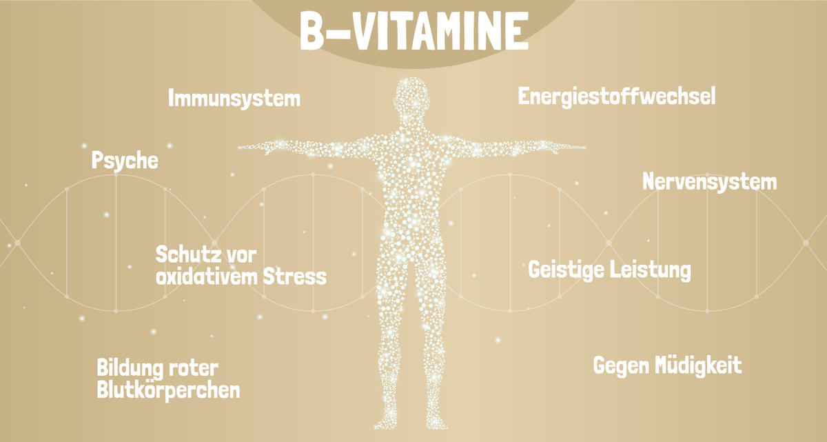 Die Vorteile von B-Vitaminen: Immunsysten, Energiestoffwechsel, Psyhce, Nervensystem etc. 