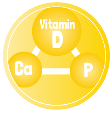 Verwertung von Calcium