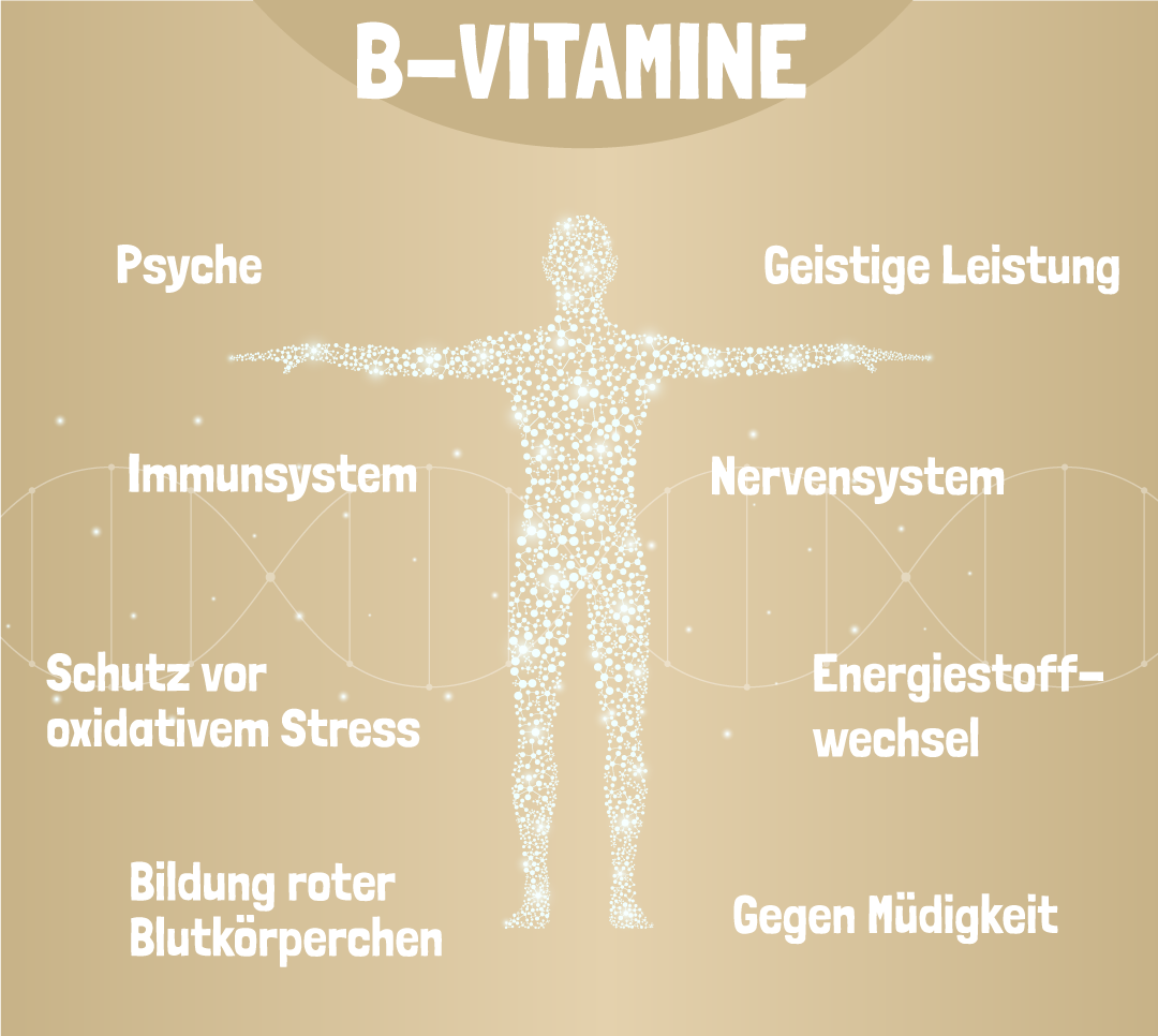 B Vitamine Wirkung