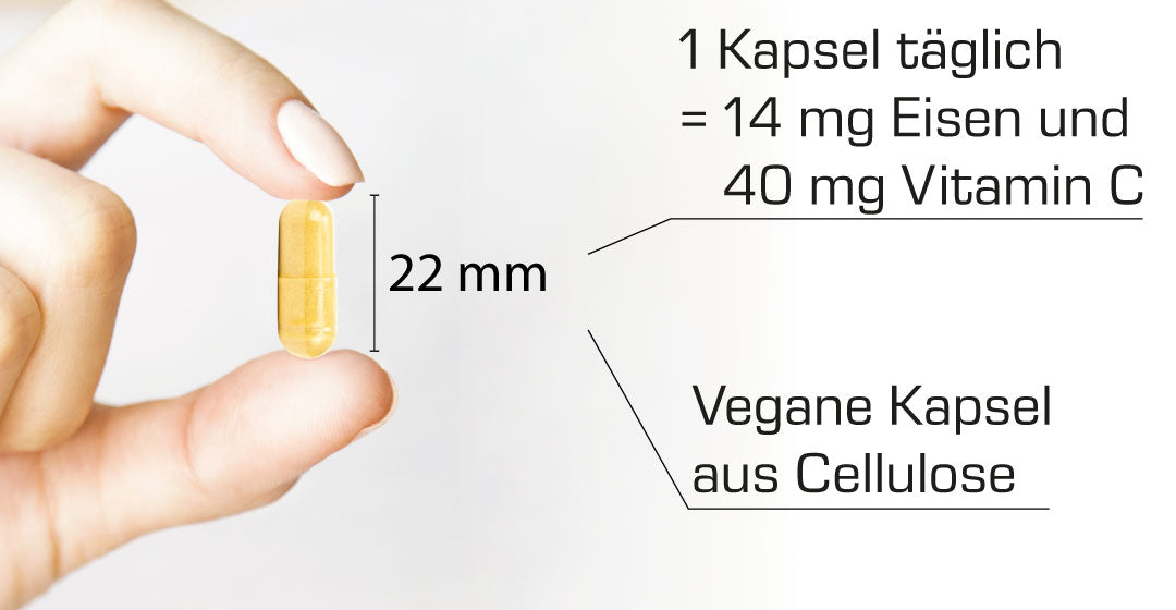 Eisen auf einen Blick