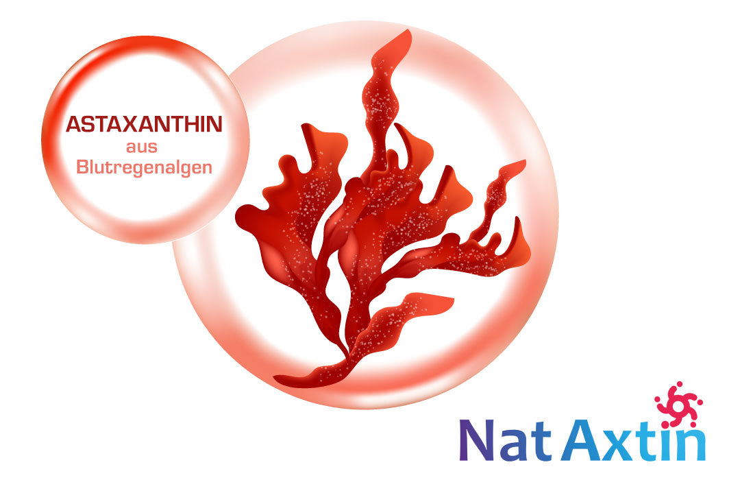 Astaxanthin aus Blutregenalgen