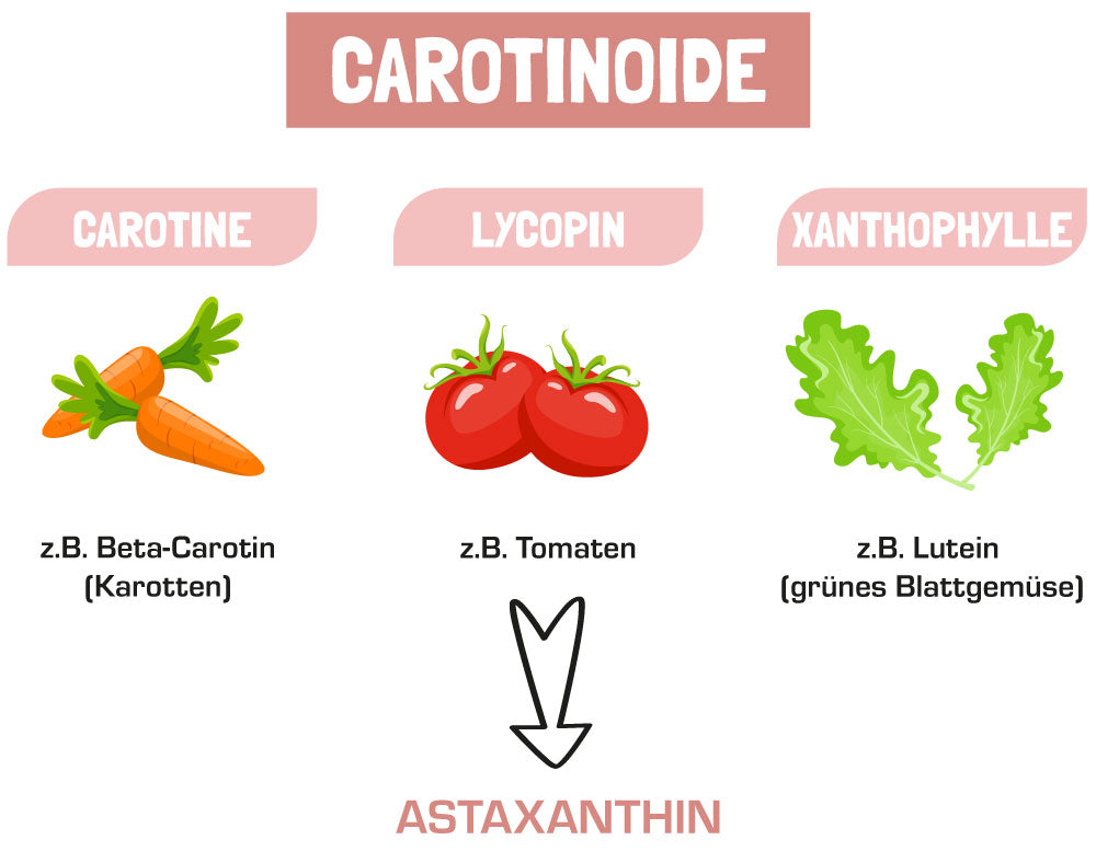Übersicht Carotinoide