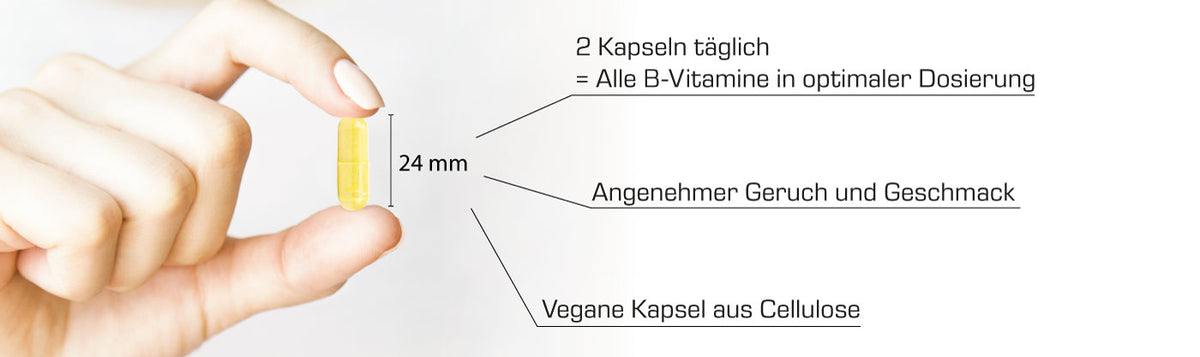 Vitamin B Komplex - die Kapsel auf einen Blick